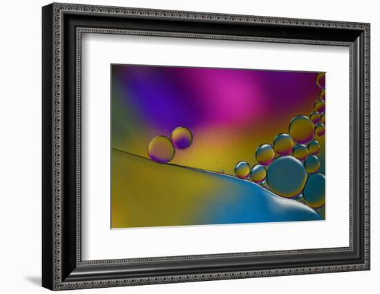 Have The Flue-Heidi Westum-Framed Photographic Print