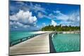 Photographic Print