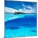 Premium Photographic Print