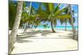 Photographic Print