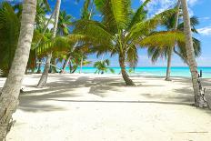 Beautiful Caribbean Beach with Chaise Lounge in Dominican Republic-haveseen-Photographic Print