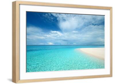 Crystal Clear Turquoise Water at Tropical Maldivian Beach Premium