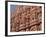 Hawa Mahal, Palace of Winds, Facade from Which Ladies in Purdah Looked Outside, Rajasthan, India-Hans Peter Merten-Framed Photographic Print