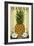 Hawaii - Aloha - Colonial Pineapple-Lantern Press-Framed Art Print