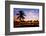 Hawaii Dreams VI-null-Framed Art Print