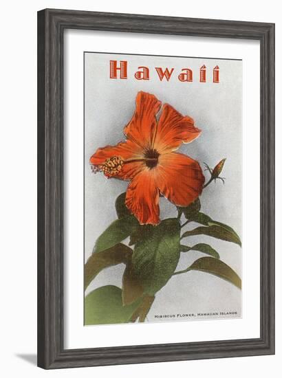 Hawaii, Hibiscus Flower-null-Framed Art Print