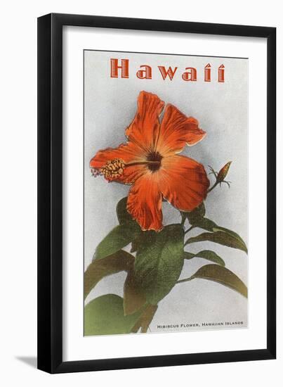 Hawaii, Hibiscus Flower-null-Framed Art Print