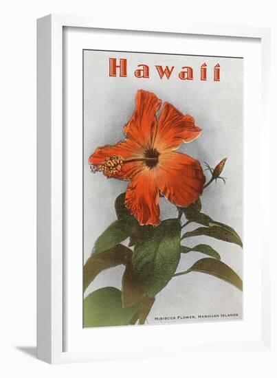 Hawaii, Hibiscus Flower-null-Framed Art Print