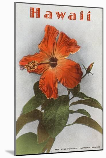 Hawaii, Hibiscus Flower-null-Mounted Art Print