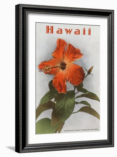 Hawaii, Hibiscus Flower-null-Framed Art Print