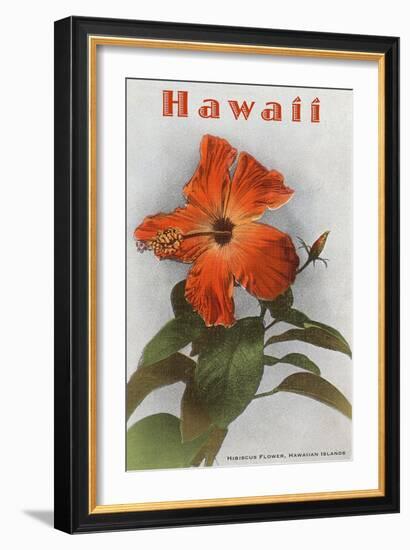 Hawaii, Hibiscus Flower-null-Framed Art Print