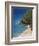 Hawaii, Kauai, a Beach Along the Na Pali Coast-Christopher Talbot Frank-Framed Photographic Print