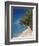 Hawaii, Kauai, a Beach Along the Na Pali Coast-Christopher Talbot Frank-Framed Photographic Print