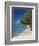 Hawaii, Kauai, a Beach Along the Na Pali Coast-Christopher Talbot Frank-Framed Photographic Print