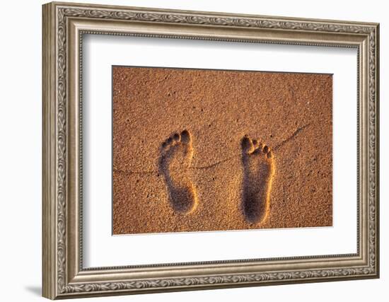 Hawaii, Kauai. Footprints in the sand on a Hawaii beach.-Janis Miglavs-Framed Photographic Print