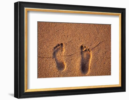 Hawaii, Kauai. Footprints in the sand on a Hawaii beach.-Janis Miglavs-Framed Photographic Print