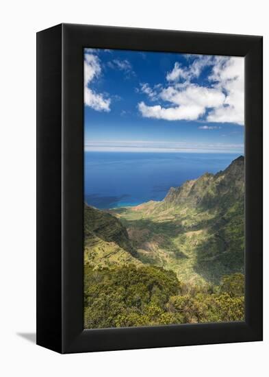 Hawaii, Kauai, Kokee State Park, View of the Kalalau Valley from Pu'U O Kila Lookout-Rob Tilley-Framed Premier Image Canvas
