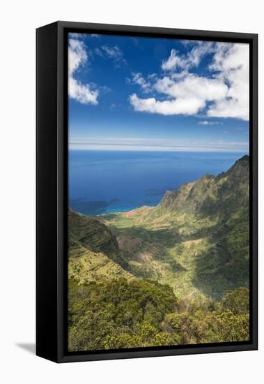 Hawaii, Kauai, Kokee State Park, View of the Kalalau Valley from Pu'U O Kila Lookout-Rob Tilley-Framed Premier Image Canvas