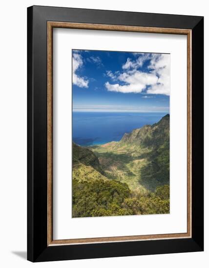 Hawaii, Kauai, Kokee State Park, View of the Kalalau Valley from Pu'U O Kila Lookout-Rob Tilley-Framed Photographic Print