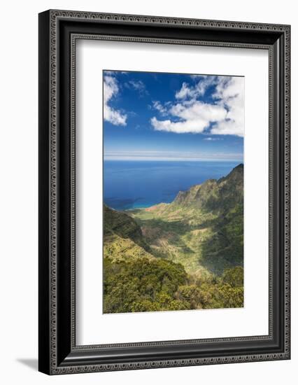 Hawaii, Kauai, Kokee State Park, View of the Kalalau Valley from Pu'U O Kila Lookout-Rob Tilley-Framed Photographic Print