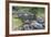 Hawaii, Kauai, Limahuli Garden and Preserve-Rob Tilley-Framed Photographic Print