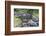 Hawaii, Kauai, Limahuli Garden and Preserve-Rob Tilley-Framed Photographic Print