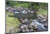 Hawaii, Kauai, Limahuli Garden and Preserve-Rob Tilley-Mounted Photographic Print