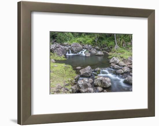 Hawaii, Kauai, Limahuli Garden and Preserve-Rob Tilley-Framed Photographic Print