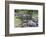 Hawaii, Kauai, Limahuli Garden and Preserve-Rob Tilley-Framed Photographic Print