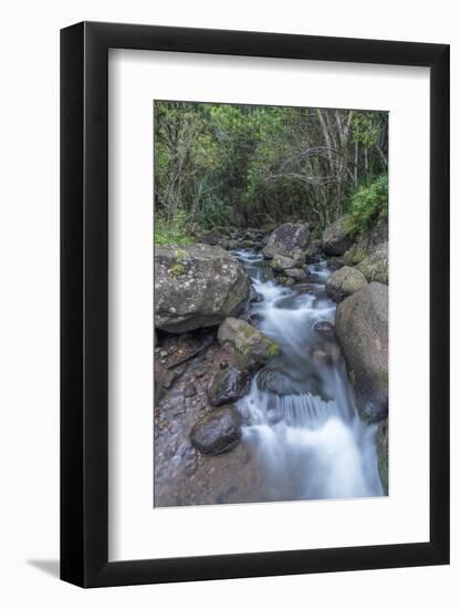 Hawaii, Kauai, Limahuli Garden and Preserve-Rob Tilley-Framed Photographic Print