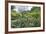 Hawaii, Kauai, Limahuli Garden and Preserve-Rob Tilley-Framed Photographic Print