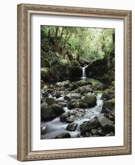 Hawaii, Maui, a Waterfall Flows into Blue Pool from the Rainforest-Christopher Talbot Frank-Framed Photographic Print