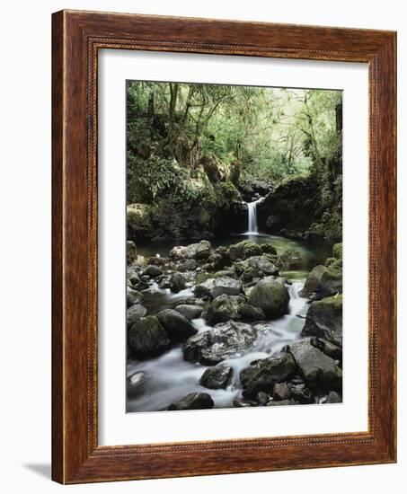 Hawaii, Maui, a Waterfall Flows into Blue Pool from the Rainforest-Christopher Talbot Frank-Framed Photographic Print