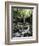 Hawaii, Maui, a Waterfall Flows into Blue Pool from the Rainforest-Christopher Talbot Frank-Framed Photographic Print