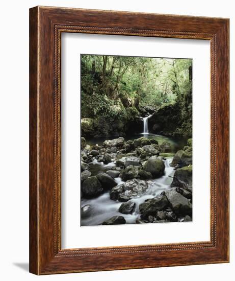 Hawaii, Maui, a Waterfall Flows into Blue Pool from the Rainforest-Christopher Talbot Frank-Framed Photographic Print