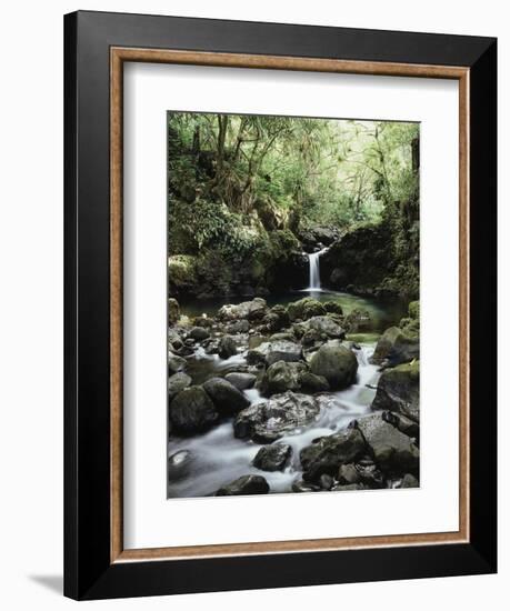 Hawaii, Maui, a Waterfall Flows into Blue Pool from the Rainforest-Christopher Talbot Frank-Framed Photographic Print