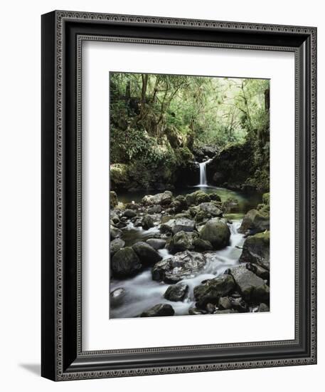 Hawaii, Maui, a Waterfall Flows into Blue Pool from the Rainforest-Christopher Talbot Frank-Framed Photographic Print