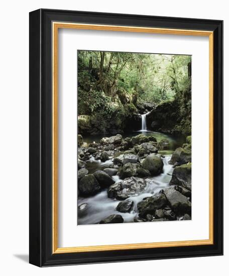 Hawaii, Maui, a Waterfall Flows into Blue Pool from the Rainforest-Christopher Talbot Frank-Framed Photographic Print