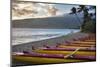 Hawaii, Maui, Kihei. Outrigger canoes on Kalae Pohaku beach and palm trees.-Janis Miglavs-Mounted Photographic Print