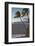 Hawaii, Maui, Kihei. Tourists walking under palm trees on Kalae Pohaku beach.-Janis Miglavs-Framed Photographic Print