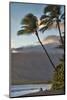 Hawaii, Maui, Kihei. Tourists walking under palm trees on Kalae Pohaku beach.-Janis Miglavs-Mounted Photographic Print