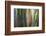 Hawaii, Maui, Rainbow Eucalyptus Trees-Terry Eggers-Framed Photographic Print