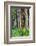 Hawaii, Maui, Rainbow Eucalyptus Trees-Terry Eggers-Framed Photographic Print