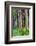 Hawaii, Maui, Rainbow Eucalyptus Trees-Terry Eggers-Framed Photographic Print