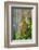 Hawaii, Maui, Rainbow Eucalyptus Trees-Terry Eggers-Framed Photographic Print