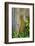 Hawaii, Maui, Rainbow Eucalyptus Trees-Terry Eggers-Framed Photographic Print