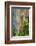 Hawaii, Maui, Rainbow Eucalyptus Trees-Terry Eggers-Framed Photographic Print