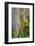 Hawaii, Maui, Rainbow Eucalyptus Trees-Terry Eggers-Framed Photographic Print