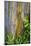 Hawaii, Maui, Rainbow Eucalyptus Trees-Terry Eggers-Mounted Photographic Print