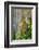 Hawaii, Maui, Rainbow Eucalyptus Trees-Terry Eggers-Framed Photographic Print